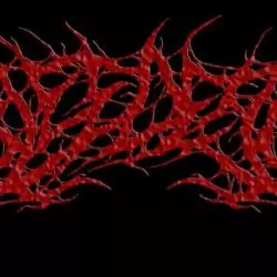 Bleedead