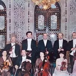 Chamber Orchestra Of Georgia