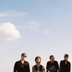 Cult Of Youth