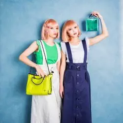 FEMM
