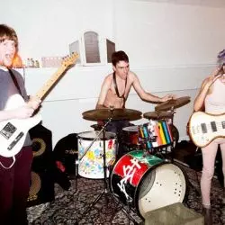 foxtails