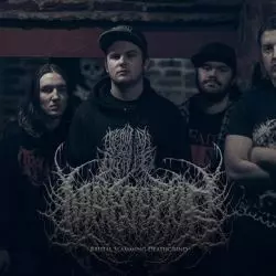 Maleceptor