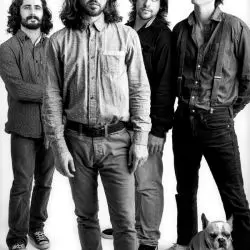 Stop Light Observations