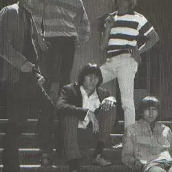 The Chocolate Watchband