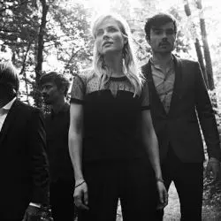 The Common Linnets