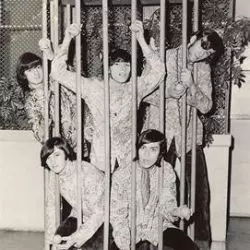 The Tangerine Zoo