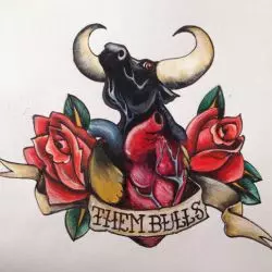 Them Bulls