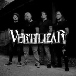Vertilizar