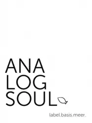 Analogsoul