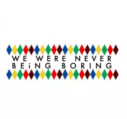 We Were Never Being Boring