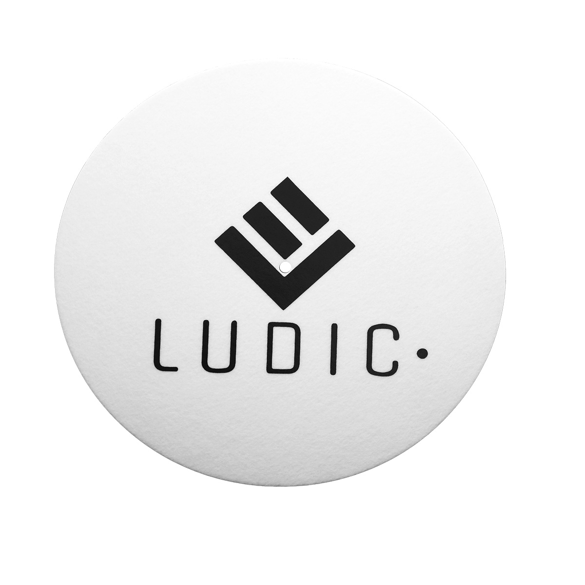 Ludic