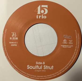 SP 45 Trio: Am I The Same Girl