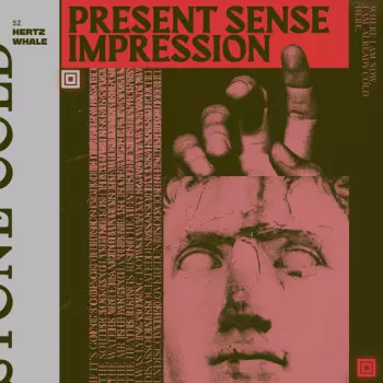 52 Hertz Whale:  Present Sense Impression 