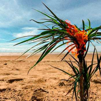 LP A Burial at Sea: A Burial At Sea (5-year-anniversary) (limited Edition) (multicolored Vinyl)