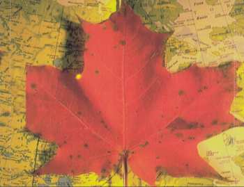 2CD A Foot In Coldwater: The Best Of