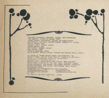 CD A Hawk And A Hacksaw: Darkness At Noon