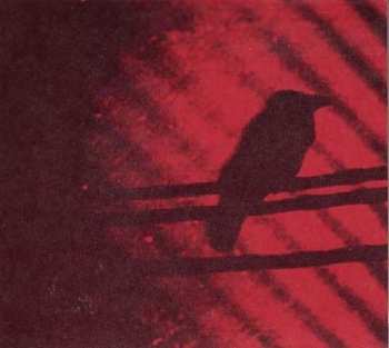 Album A Silver Mt. Zion: Born Into Trouble As The Sparks Fly Upward.