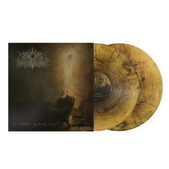 Album A Wake In Providence: I Write To You, M