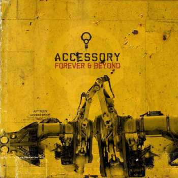 2CD/Coffret Accessory: Forever & Beyond LTD