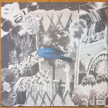 LP Accidental Bird: The Old News Shrug CLR