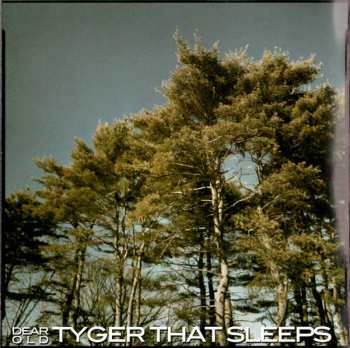 CD Achilles: Hospice