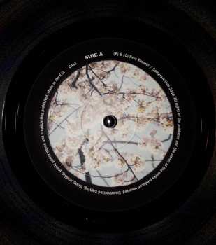 LP Adam Douglas: The Beauty & The Brawn