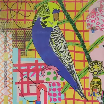 Aircooled: Eat the Gold