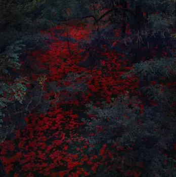 Alex Cobb: Marigold And Cable