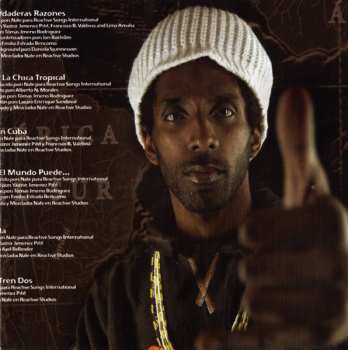 CD Alianza: Seres Humanos