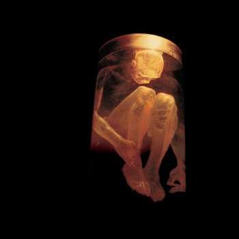 Album Alice In Chains: Nothing Safe: The Best Of The Box