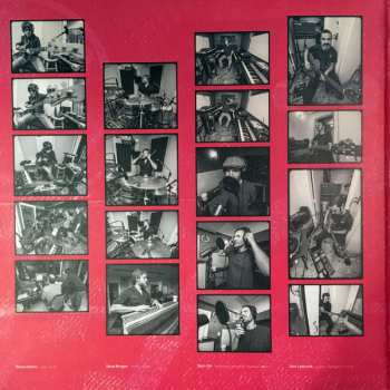 LP ALO * Animal Liberation Orchestra: Tangle of Time