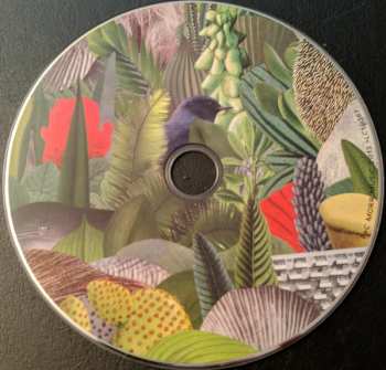 CD Aloa Input: Anysome