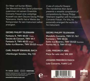 CD Alon Sariel: Telemandolin