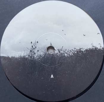 LP Amane Suganami: Moments Of Solace