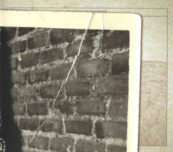 CD Amaral: Hacia Lo Salvaje