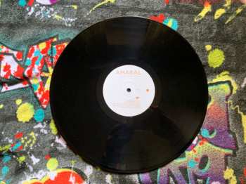 LP Amaral: Una Pequeña Parte Del Mundo