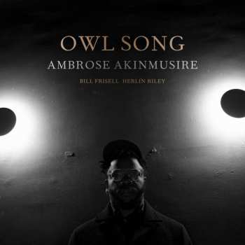 LP Ambrose Akinmusire: Owl Song
