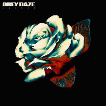 LP Grey Daze: Amends