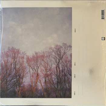 2LP American Football: American Football  CLR | DLX | LTD