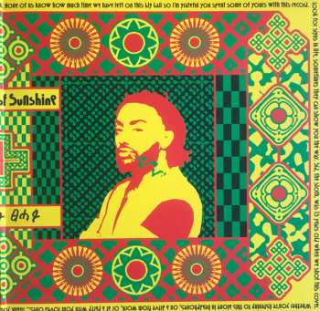 2LP Aminé: 13 Months Of Sunshine