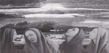 CD Amygdala: Amygdala