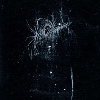 Album An Inverted Flame My Heart: My Death Is More Beautiful Than Your Life