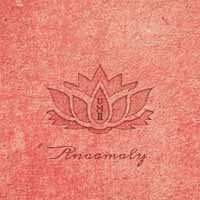 Album Anaamaly: Urban Metta, Vol. 2
