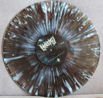 LP Analepsy: Quiescence CLR | LTD