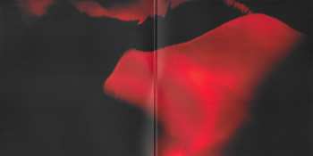 2LP Anathema: Distant Satellites