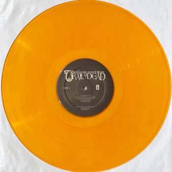 2LP ...And You Will Know Us By The Trail Of Dead: Source Tags & Codes