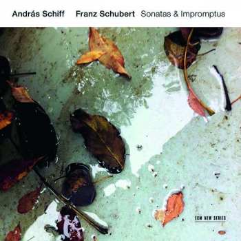 2CD Franz Schubert: Sonatas & Impromptus
