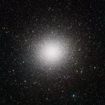 Andrea Laszlo De Simone: Immensità