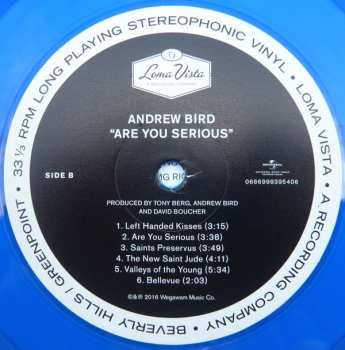 LP/SP Andrew Bird: Are You Serious DLX | LTD | CLR