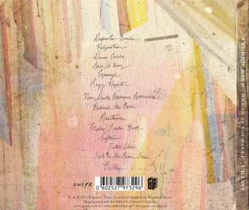 CD Andrew Bird: Break It Yourself